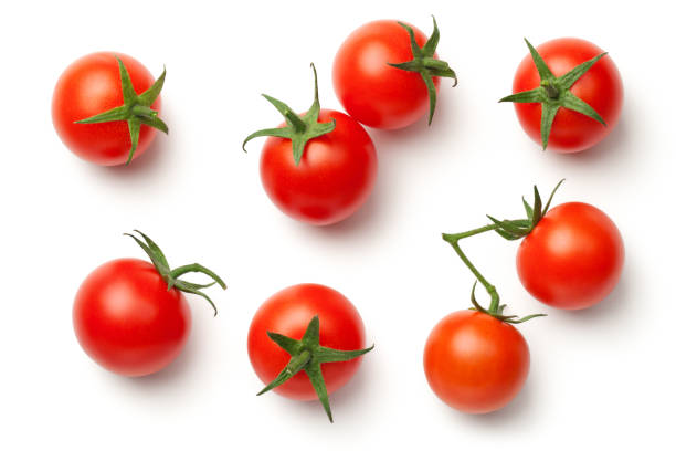 Detail Tomato Stock Image Nomer 12