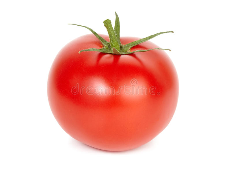 Detail Tomato Stock Image Nomer 13