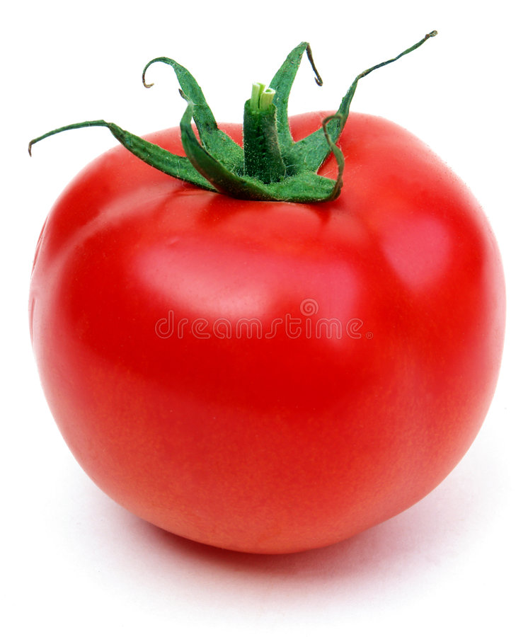 Detail Tomato Stock Image Nomer 15