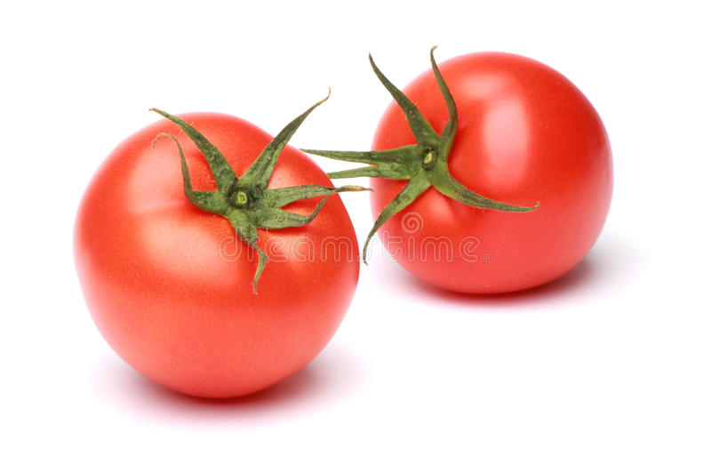 Detail Tomato Stock Image Nomer 20
