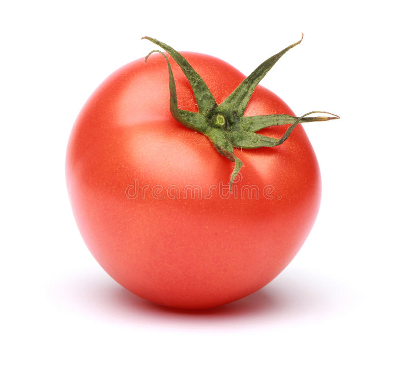 Detail Tomato Stock Image Nomer 3