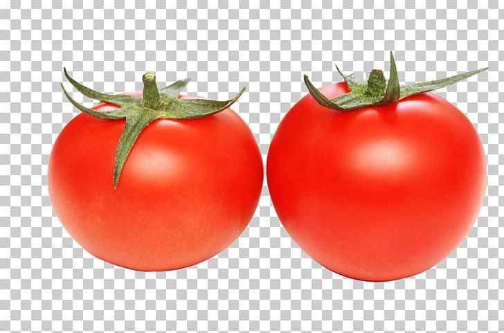 Detail Tomato Stock Image Nomer 21