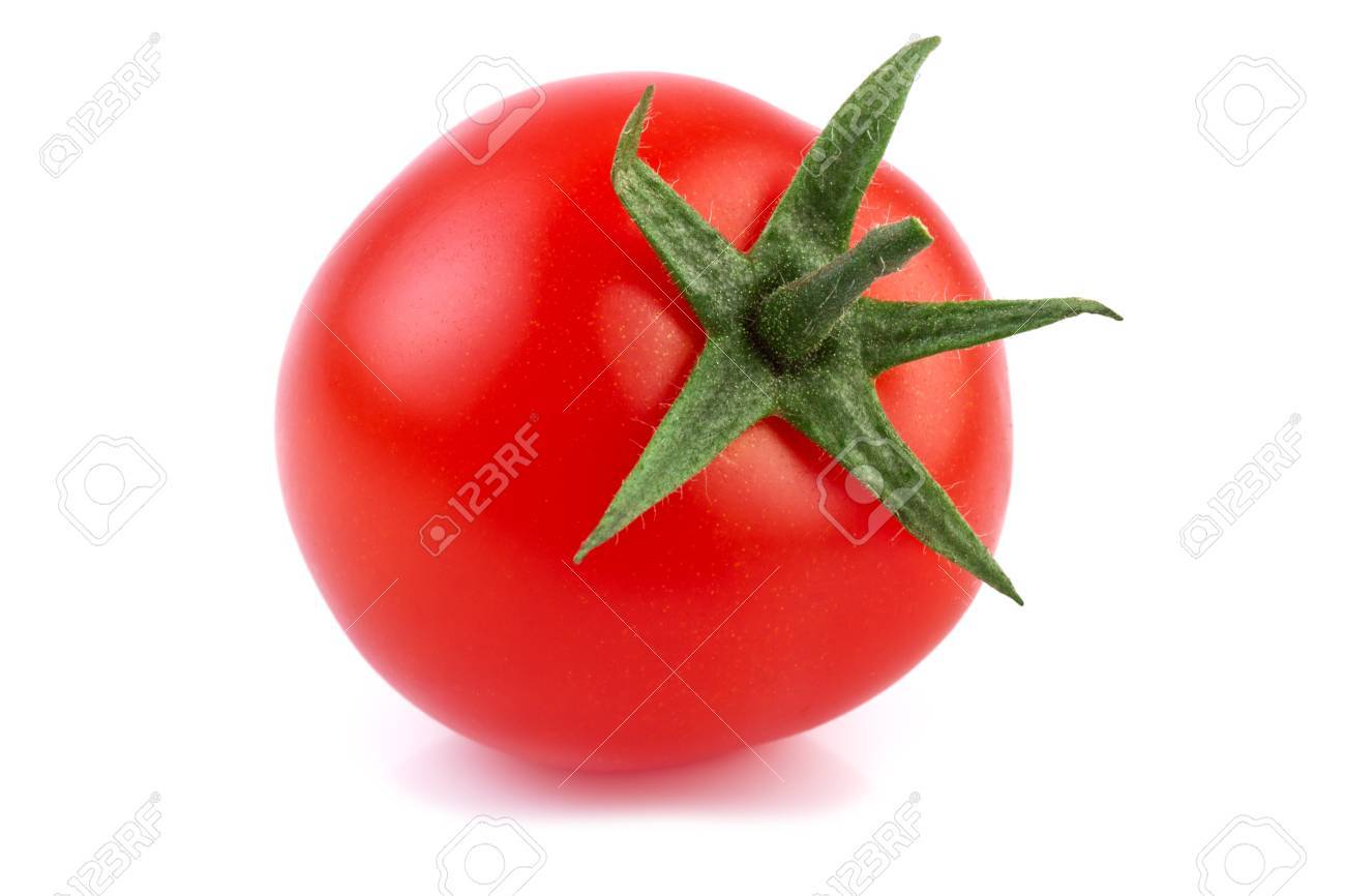 Detail Tomato Stock Image Nomer 26