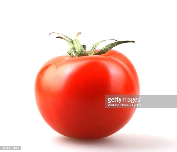 Detail Tomato Stock Image Nomer 29