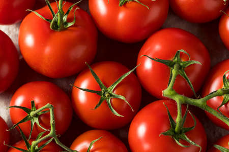 Detail Tomato Stock Image Nomer 31