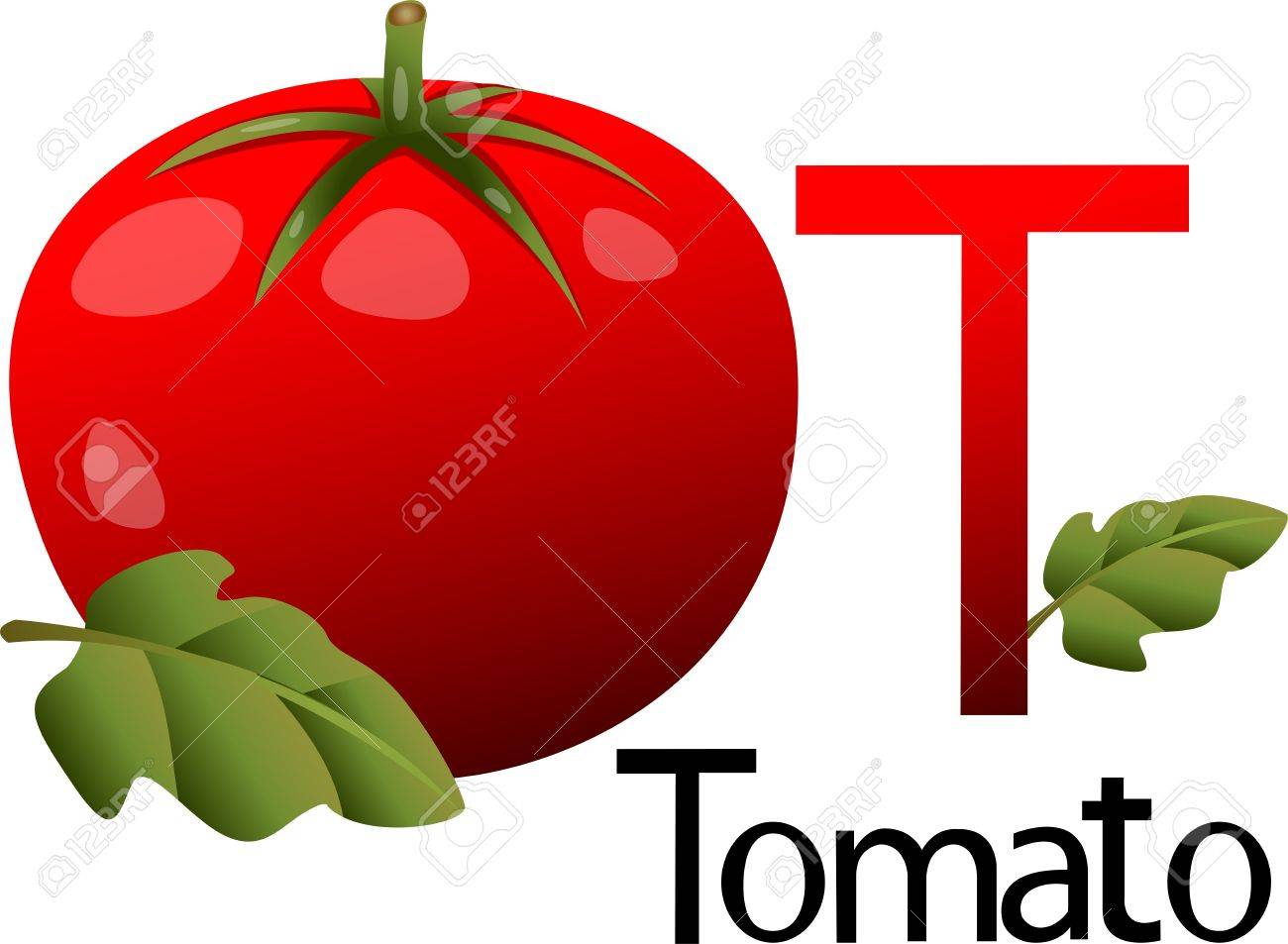 Detail Tomato Stock Image Nomer 36