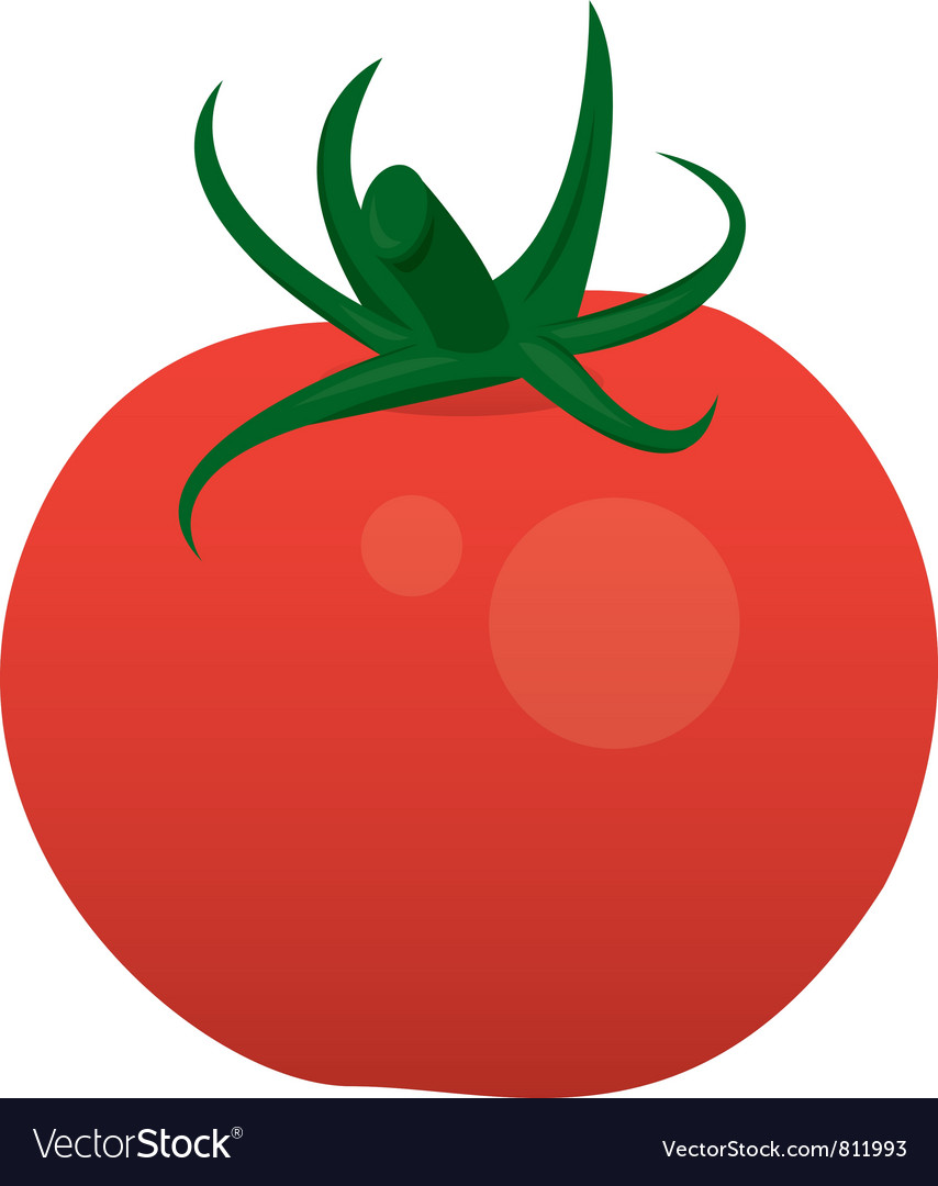 Detail Tomato Stock Image Nomer 41