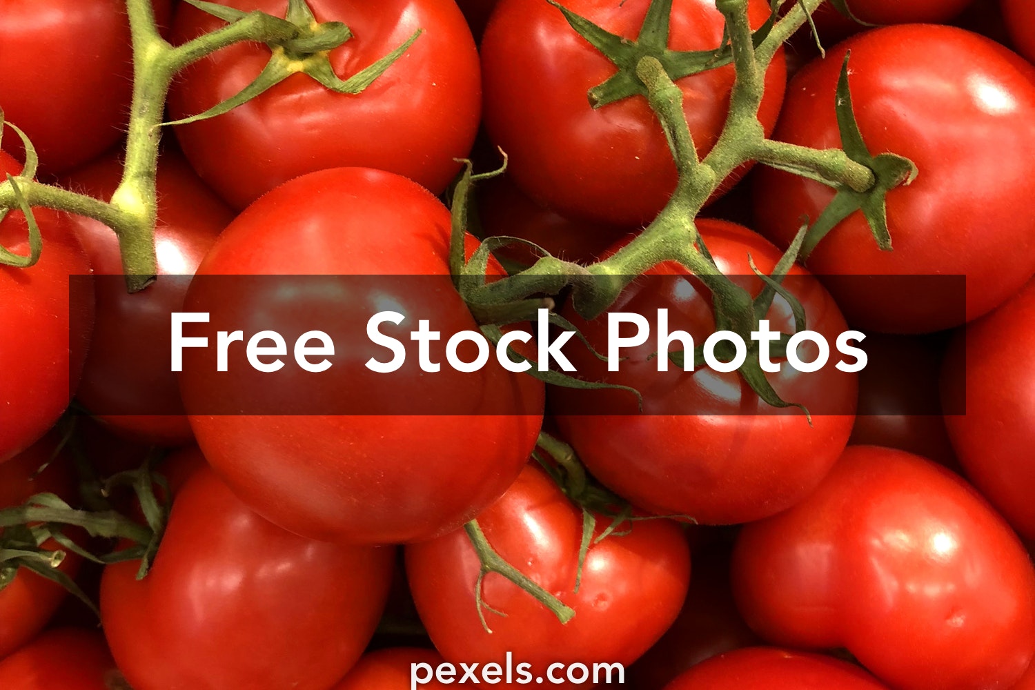 Detail Tomato Stock Image Nomer 43