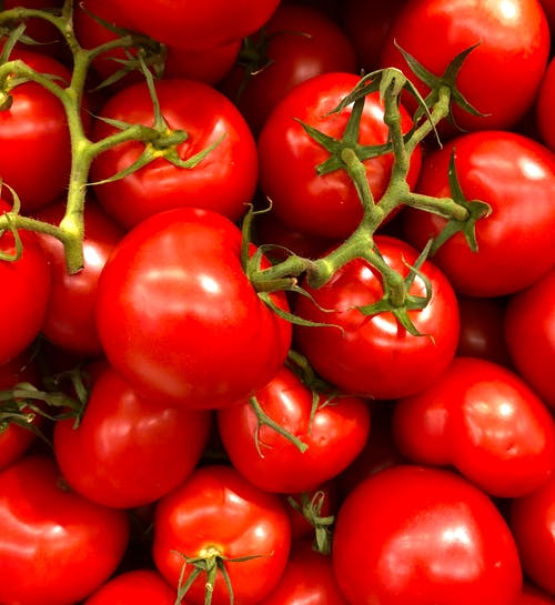 Detail Tomato Stock Image Nomer 44