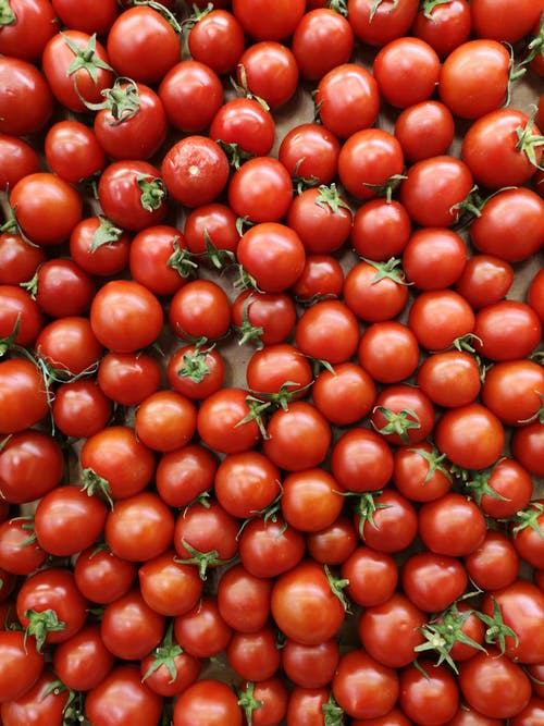 Detail Tomato Stock Image Nomer 45