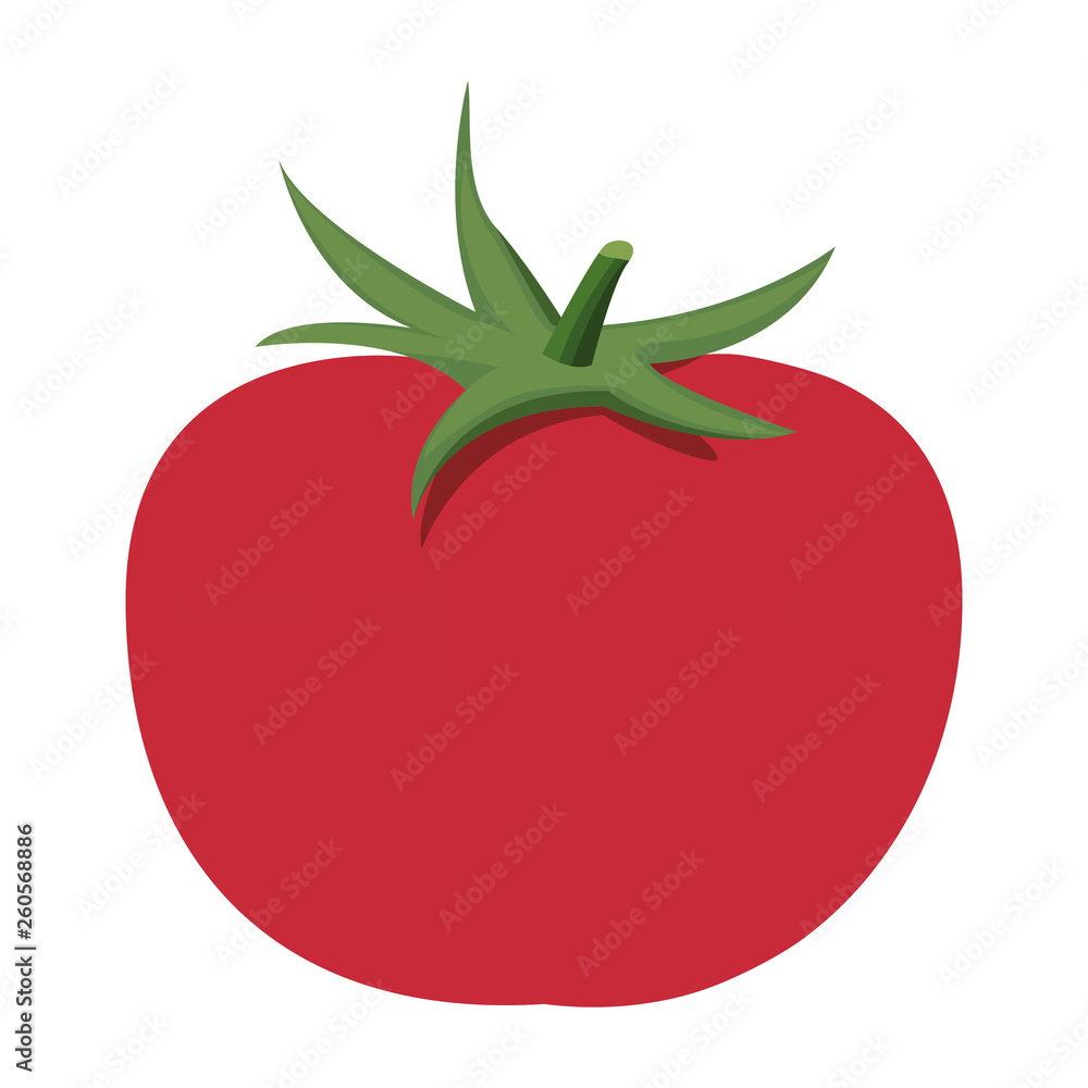Detail Tomato Stock Image Nomer 48