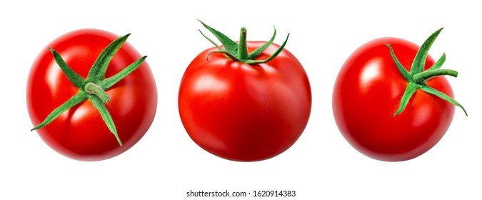 Detail Tomato Stock Image Nomer 6