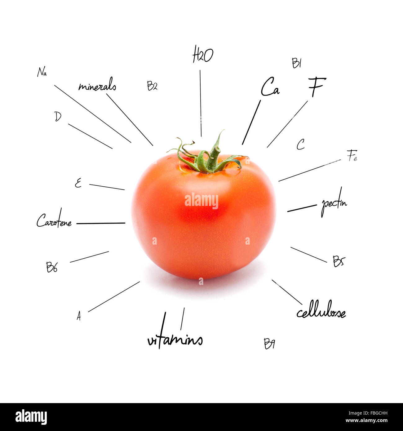 Detail Tomato Stock Image Nomer 50
