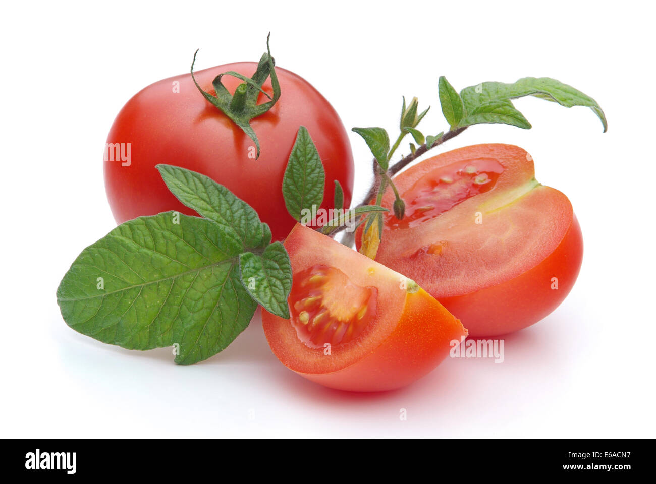 Detail Tomato Stock Image Nomer 51