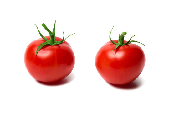 Detail Tomato Stock Image Nomer 52