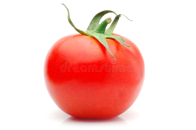Detail Tomato Stock Image Nomer 9