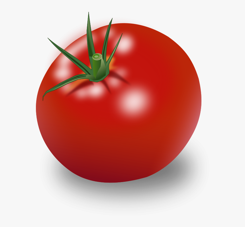 Detail Tomato Transparent Nomer 7