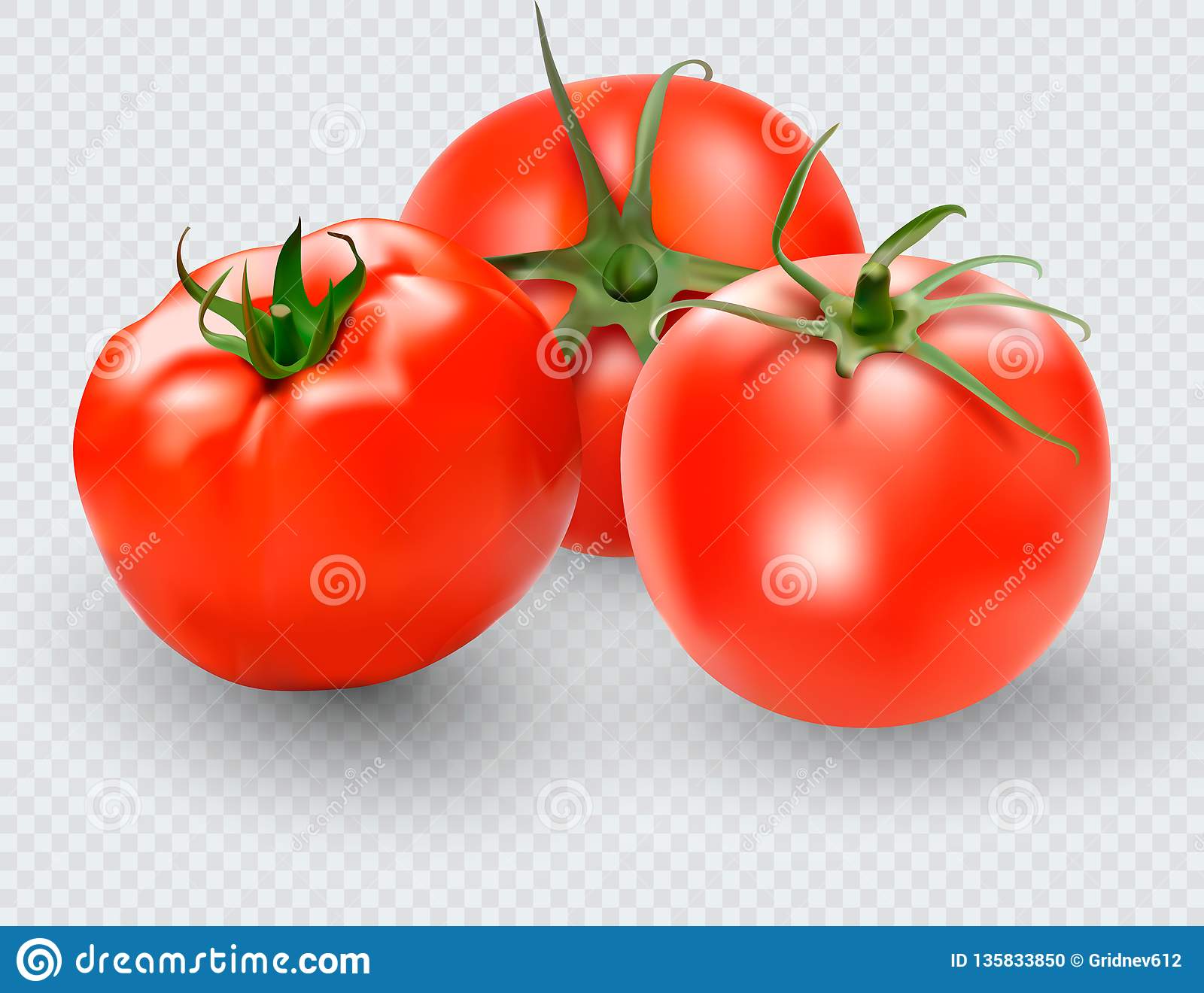 Detail Tomato Transparent Nomer 10