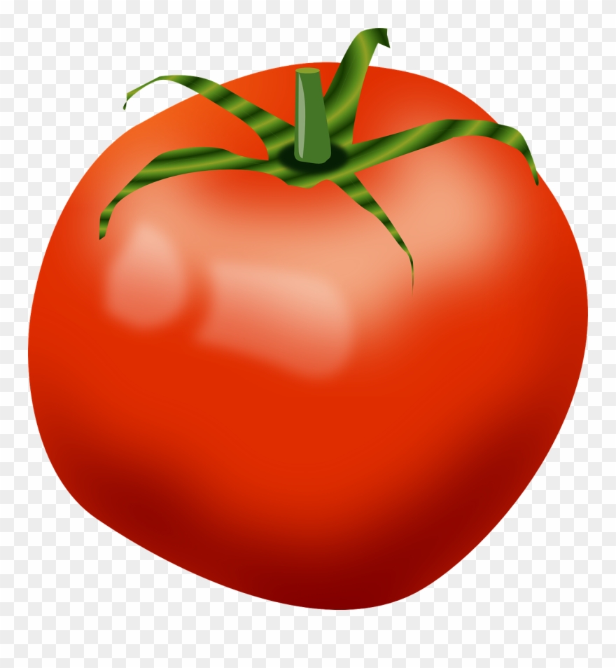 Detail Tomato Transparent Nomer 13