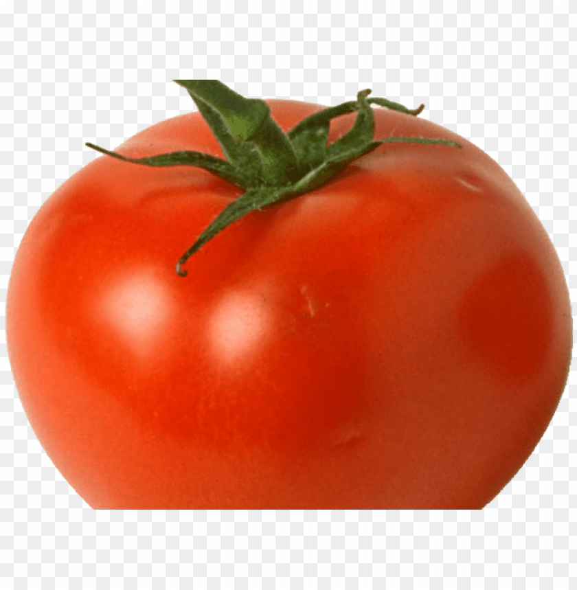Detail Tomato Transparent Nomer 16