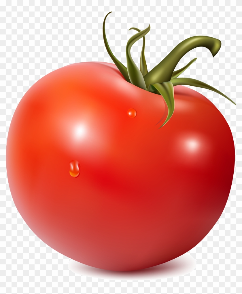 Detail Tomato Transparent Nomer 20