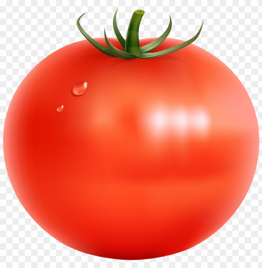Tomato Transparent - KibrisPDR