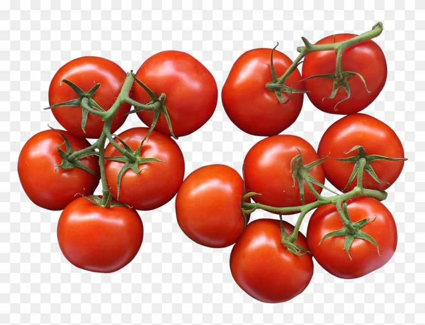Detail Tomato Transparent Nomer 26