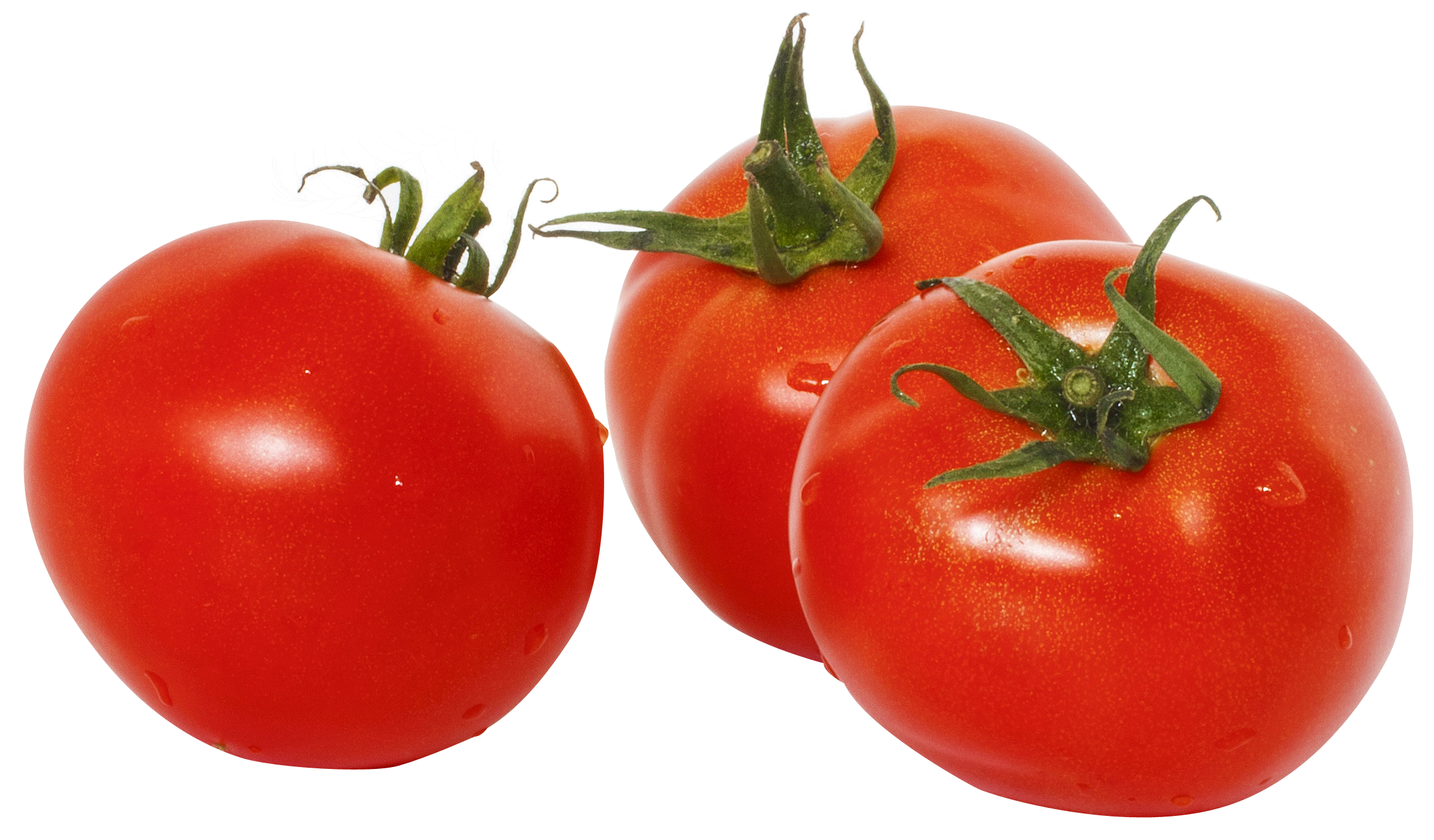 Detail Tomato Transparent Nomer 48