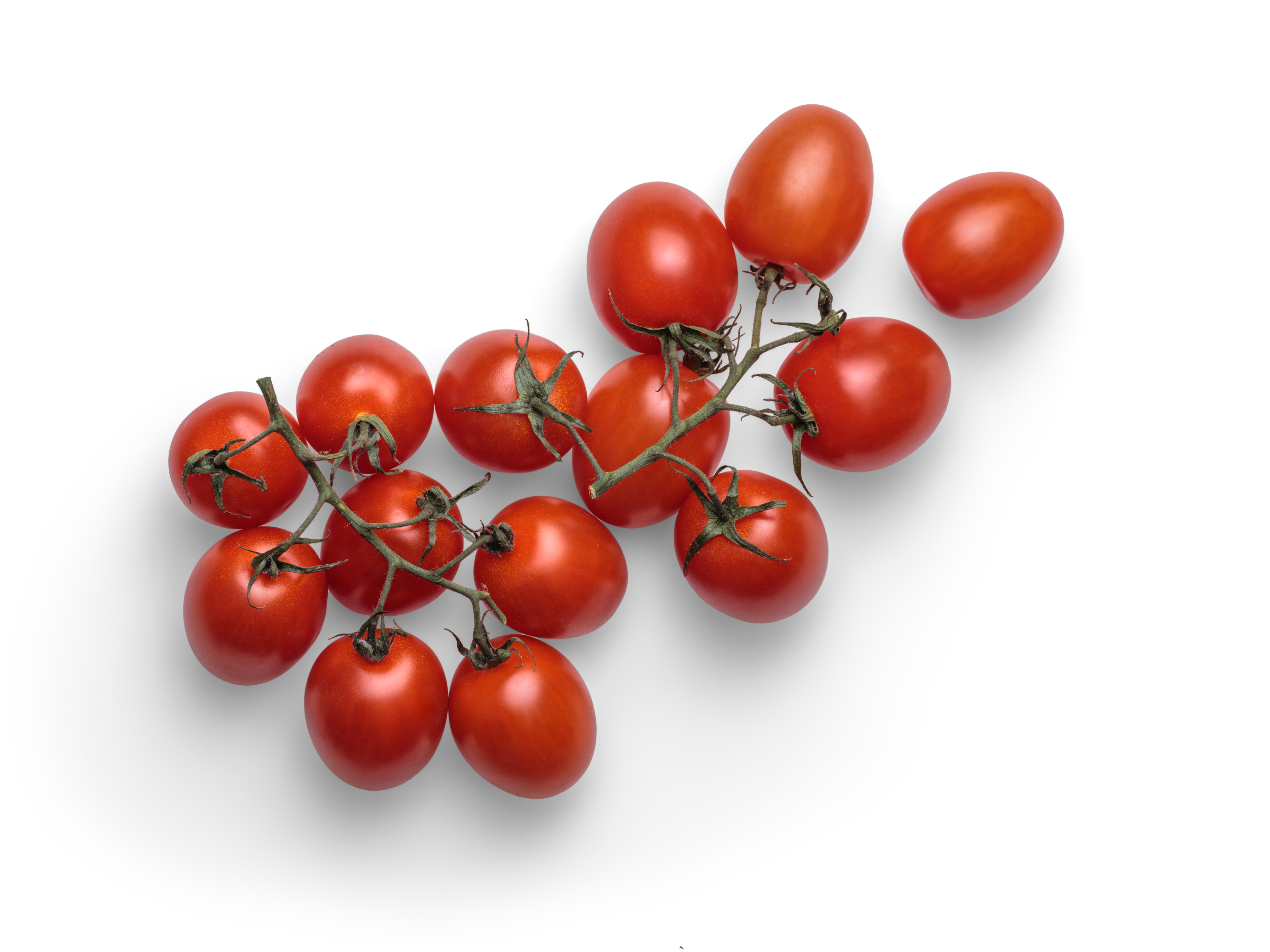 Detail Tomato Transparent Nomer 49