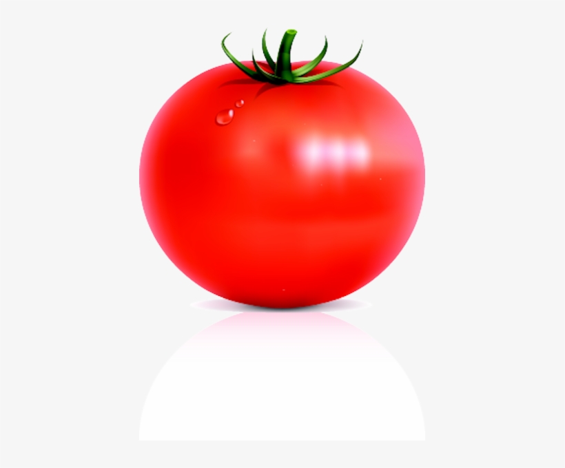 Detail Tomato Transparent Nomer 4