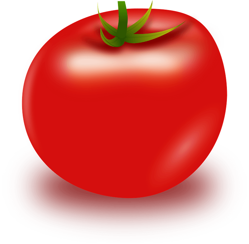 Detail Tomato Transparent Background Nomer 21