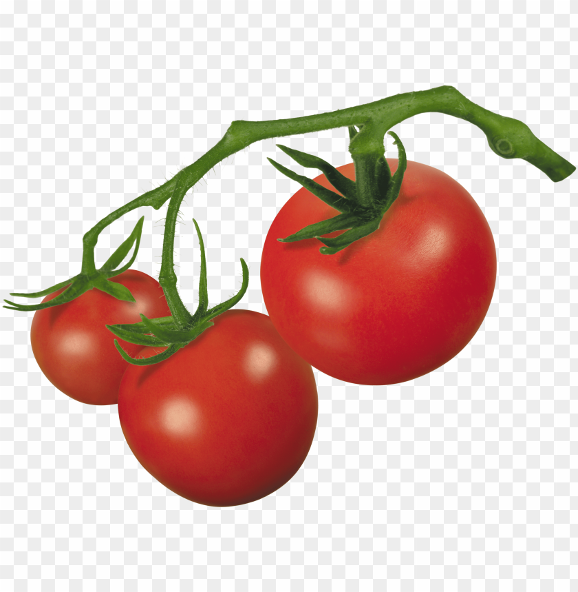 Detail Tomato Transparent Background Nomer 22