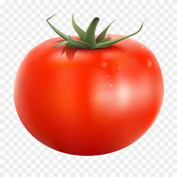 Detail Tomato Transparent Background Nomer 3