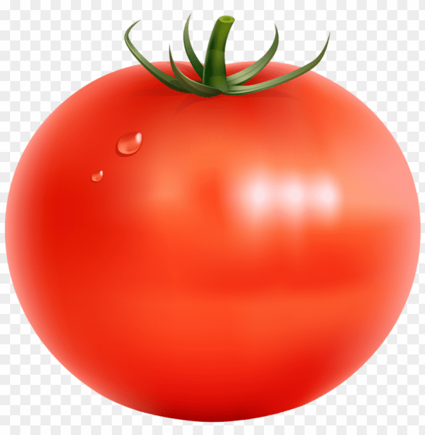 Detail Tomato Transparent Background Nomer 4