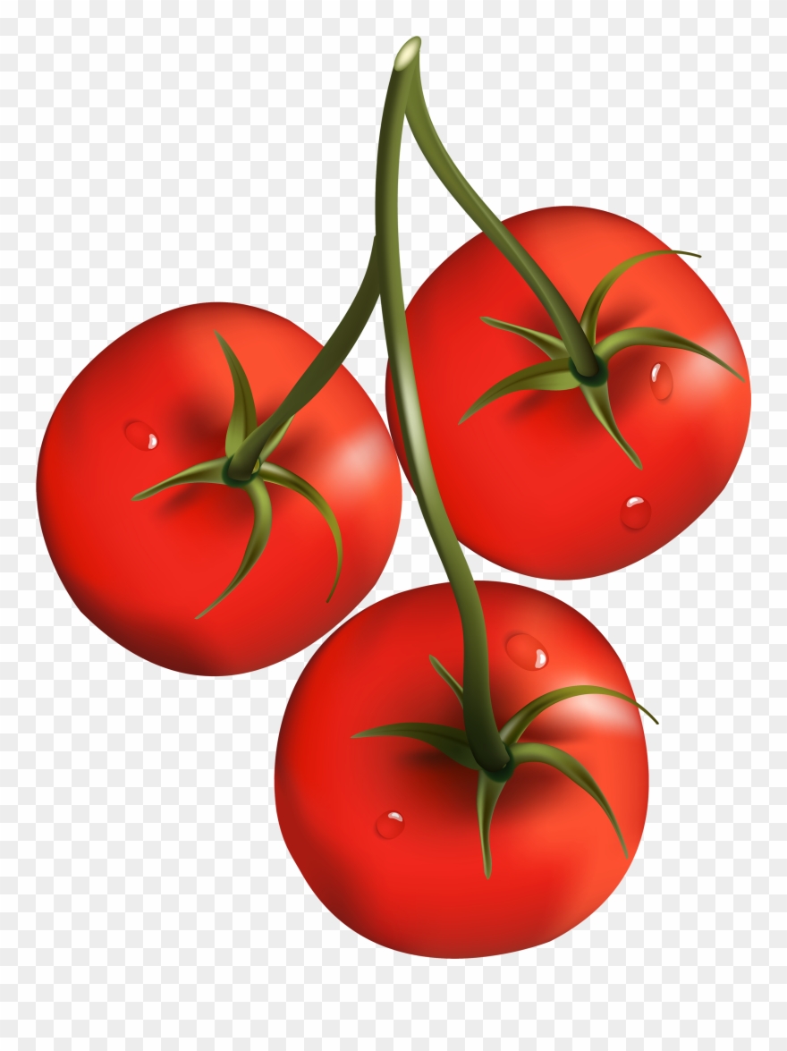 Detail Tomato Transparent Background Nomer 50