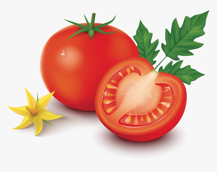 Detail Tomato Vector Png Nomer 2
