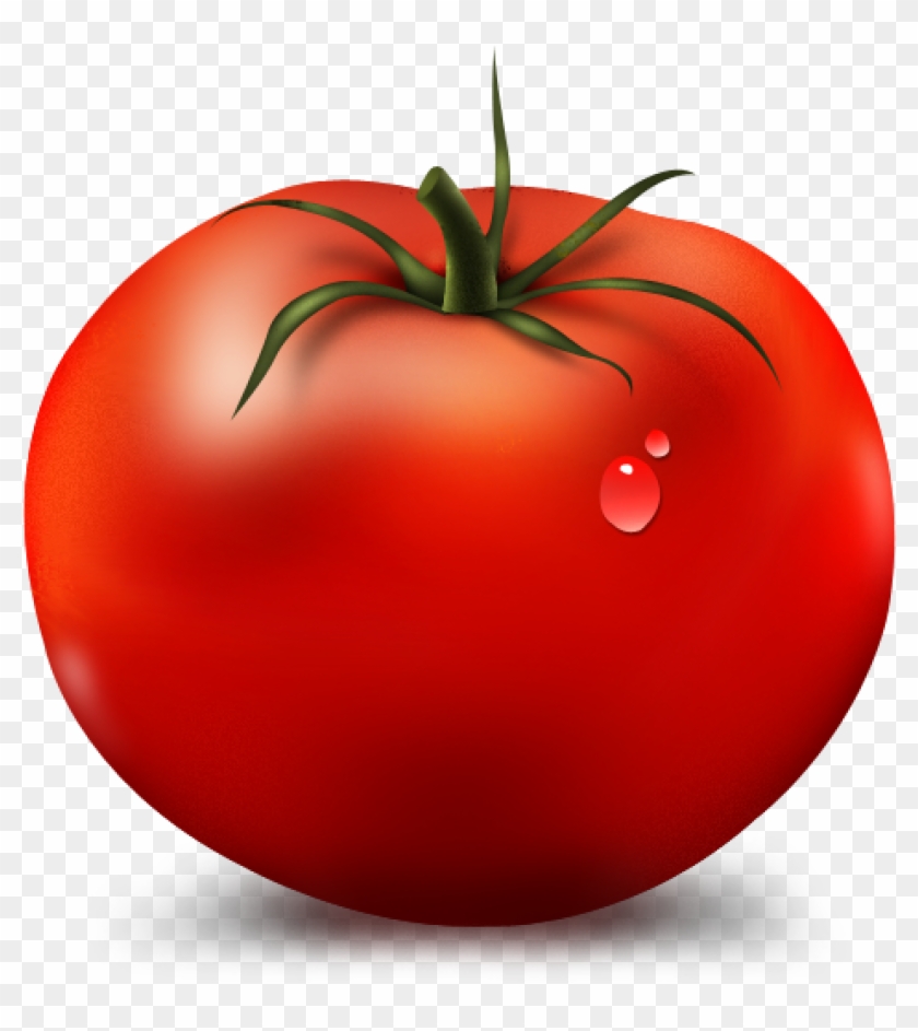 Detail Tomato Vector Png Nomer 14