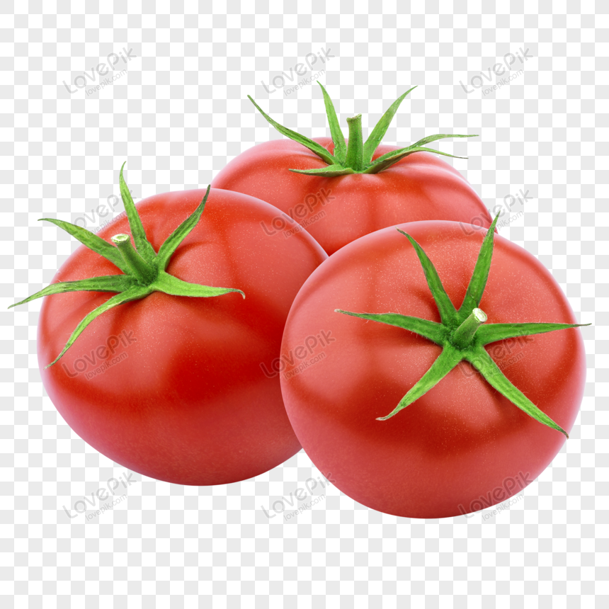 Detail Tomato Vector Png Nomer 17