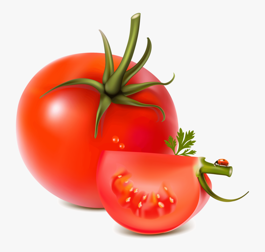 Detail Tomato Vector Png Nomer 3