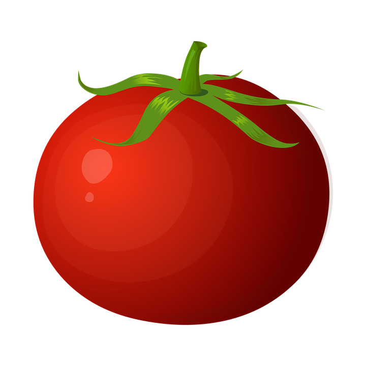 Detail Tomato Vector Png Nomer 22