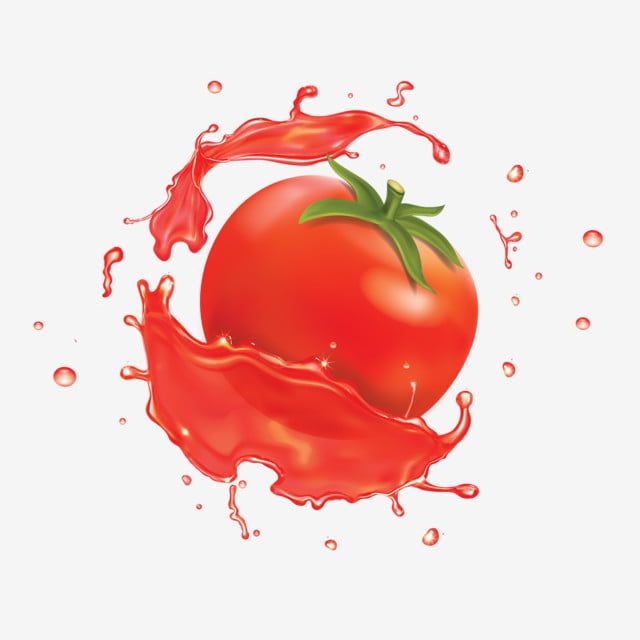 Detail Tomato Vector Png Nomer 26