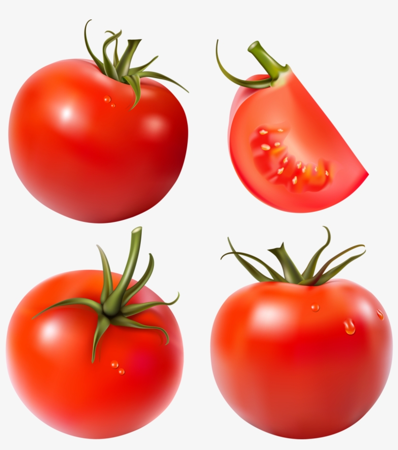 Detail Tomato Vector Png Nomer 32