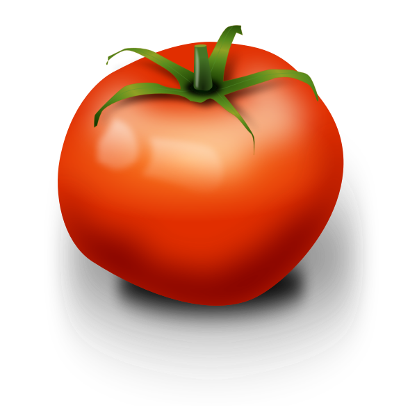 Detail Tomato Vector Png Nomer 48