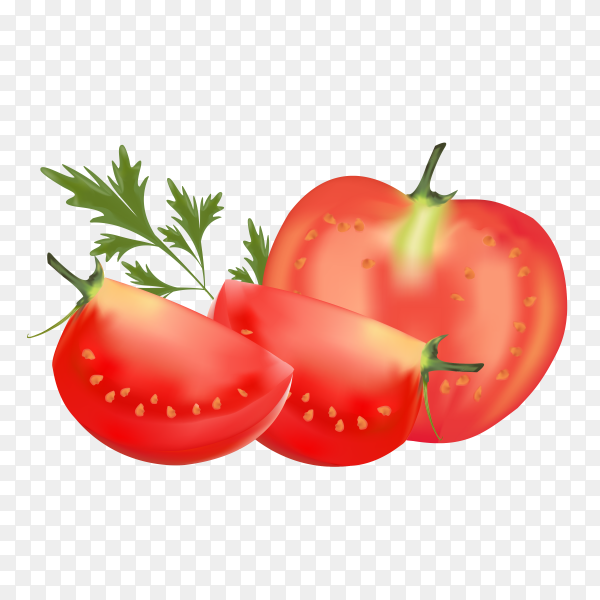 Detail Tomato Vector Png Nomer 52