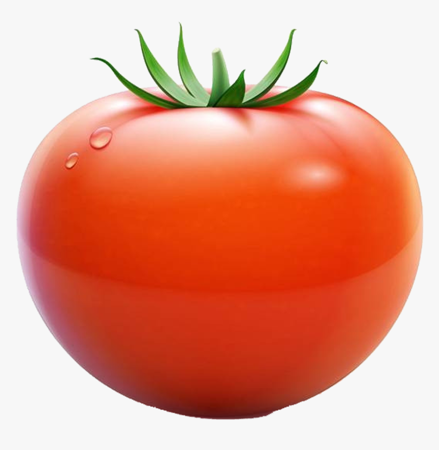 Detail Tomato Vector Png Nomer 10