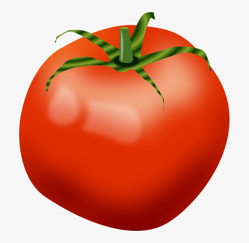 Detail Tomatoes Clipart Nomer 38