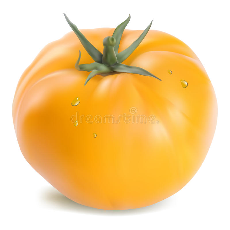 Detail Tomatoes Clipart Nomer 41
