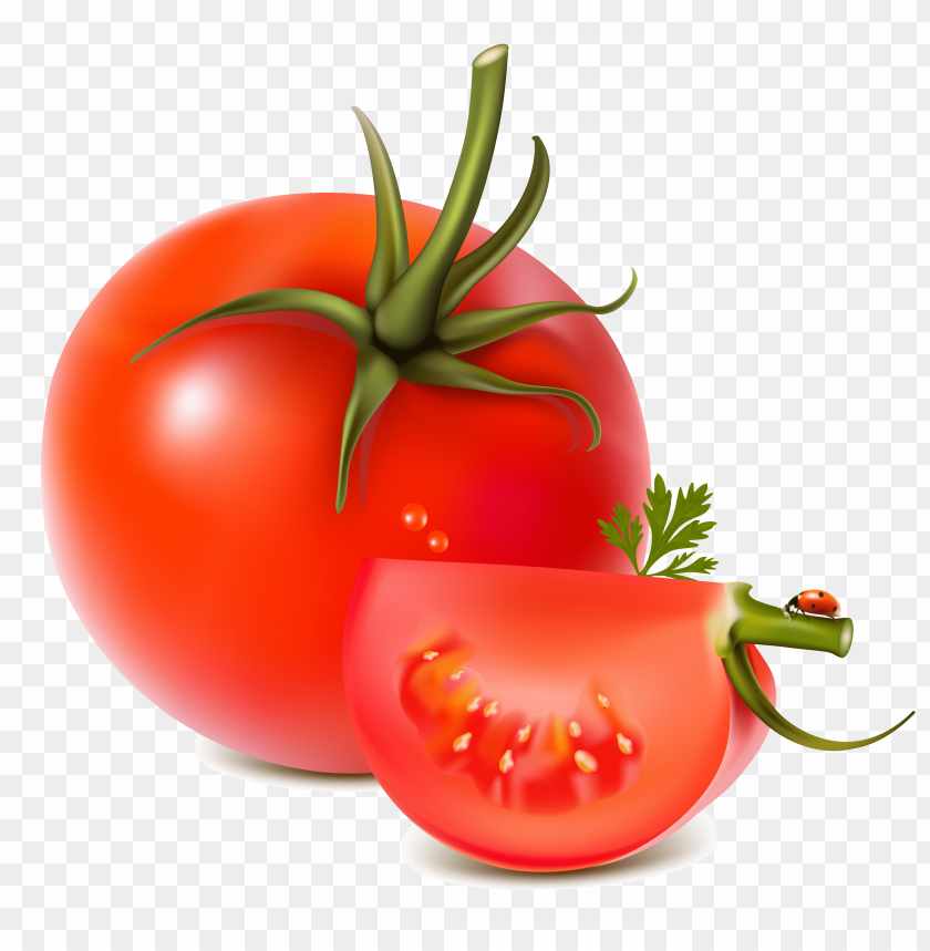 Detail Tomatoes Clipart Nomer 43