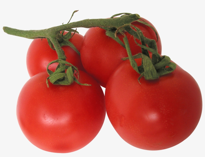 Detail Tomatoes Transparent Nomer 8