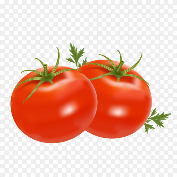 Detail Tomatoes Transparent Nomer 10